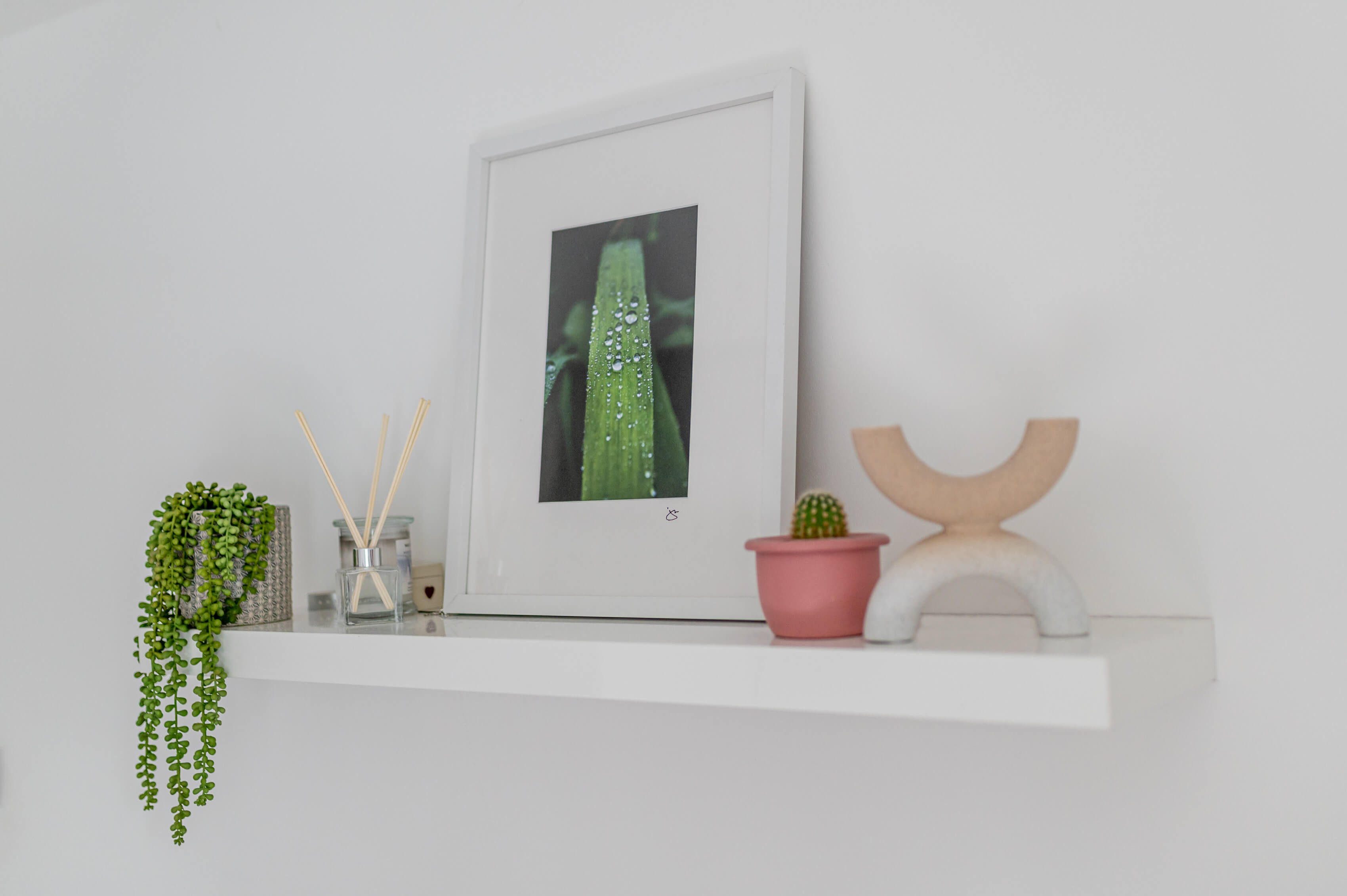 a bedroom white resin shelf with faux mother of pearl plant, a sculpture and a framed photograph of a close up of a leaf